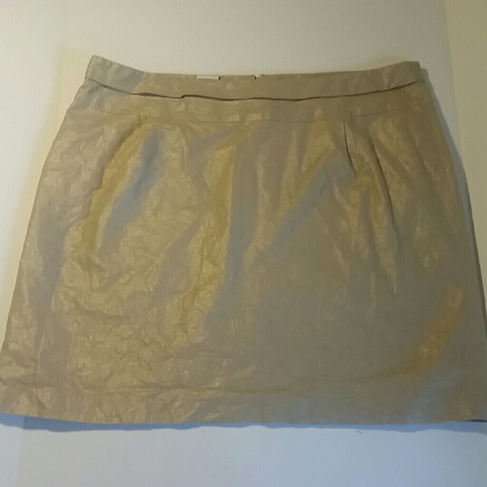 Liz Lange, skirt, metallic gold, 22W, EUC